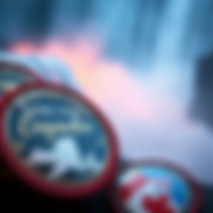 Close-up of badges representing Niagara Falls, highlighting the New York and Canadian sides, with both designs visible in the foreground.