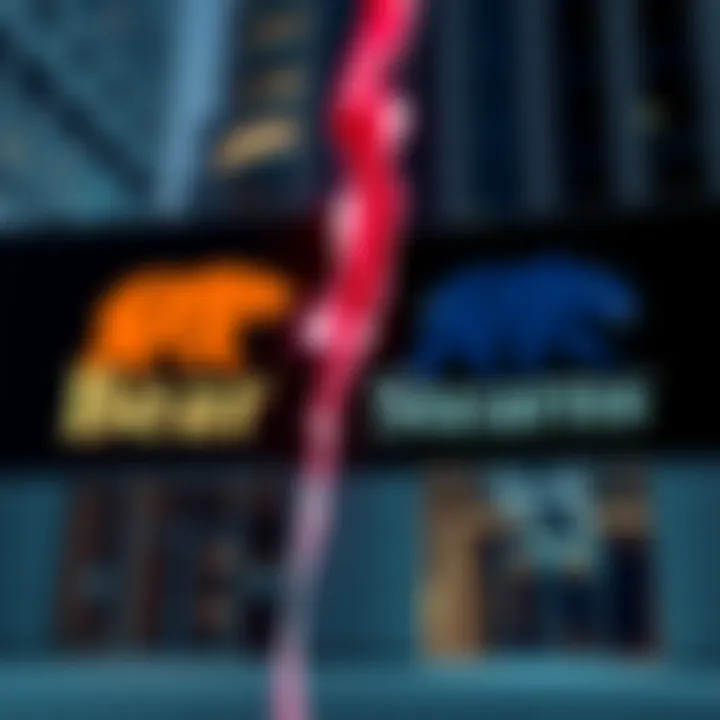 A visual representation showing the logos of Bear Sterns and Bear Stearns side by side, highlighting the spelling debate.