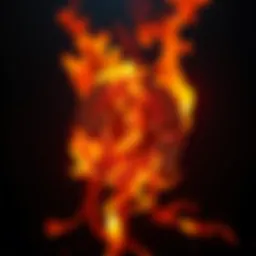 Bitcoin Symbol with Fire A glowing Bitcoin symbol surrounded by flames, symbolizing passion and defiance against critics.