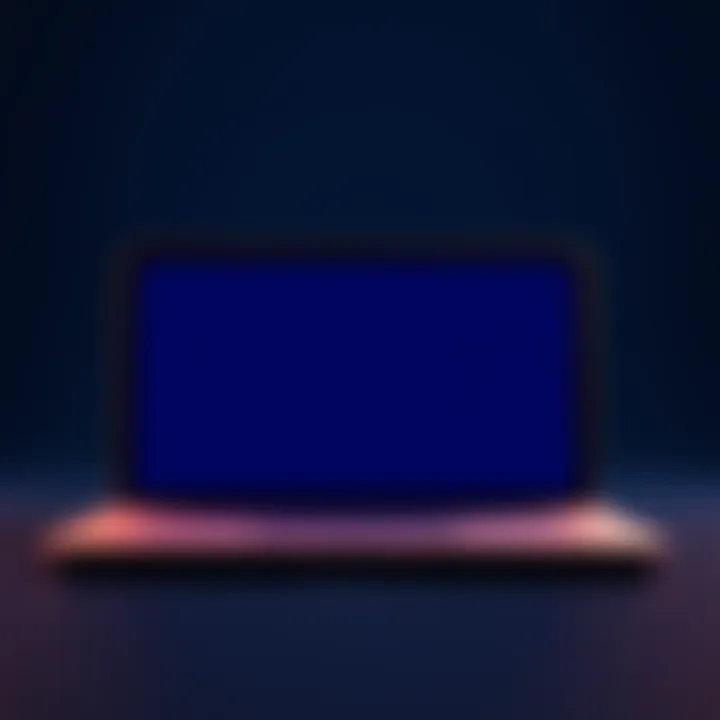 Screenshot showing Bluewallet with an empty wallet after importing a seed phrase