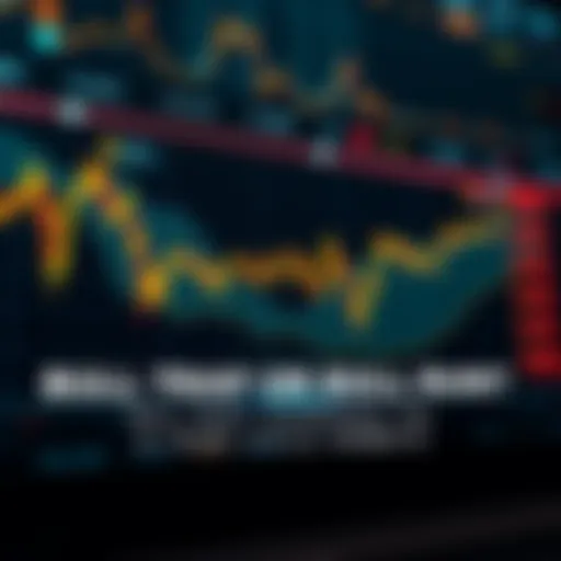 A graph showing rising and falling trends in cryptocurrency prices, with indicators for a bull run and bull trap.