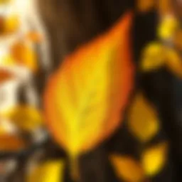 Beautiful Fall Leaf artwork created by a fan of Animal Crossing, showcasing autumn colors and intricate details.