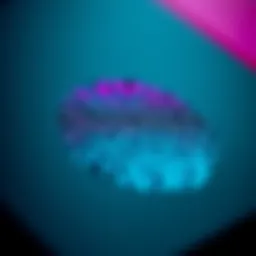 Close-up of fingerprints on a Ledger Nano X device, raising concerns about its legitimacy.