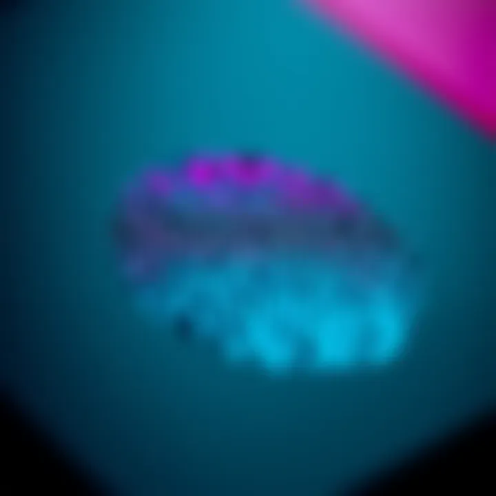 Fingerprint on Ledger Nano X Close-up of fingerprints on a Ledger Nano X device, raising concerns about its legitimacy.