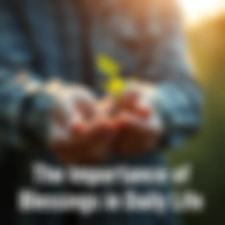 Two hands gently holding a small green plant, symbolizing growth and gratitude in daily life