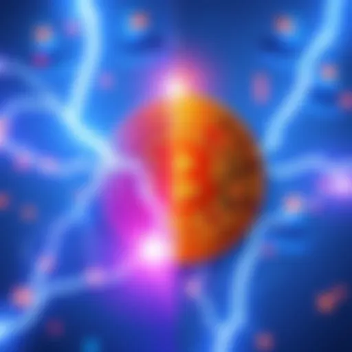 Ankit explains the differences between Lightning Network and Bitcoin during the XXIM Podcast episode.