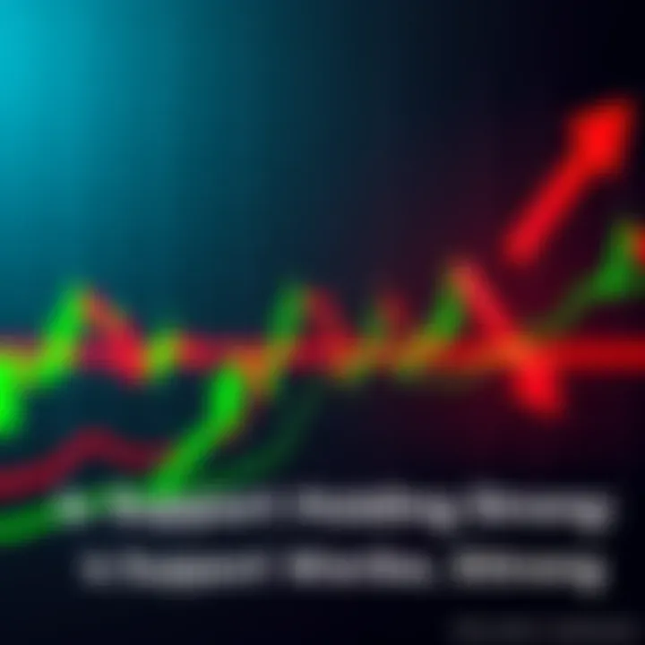 A chart showing market support levels with green lines indicating support points and red arrows indicating market trends.