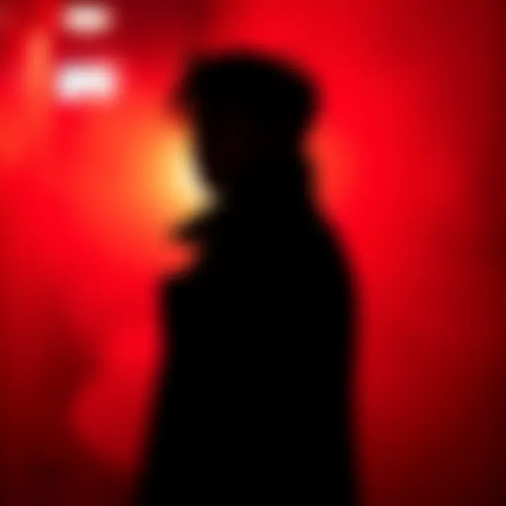 Mysterious Person in Shadow A person standing in shadow, with a hint of intrigue in their expression. They wear a dark coat and look off into the distance, creating a sense of allure.