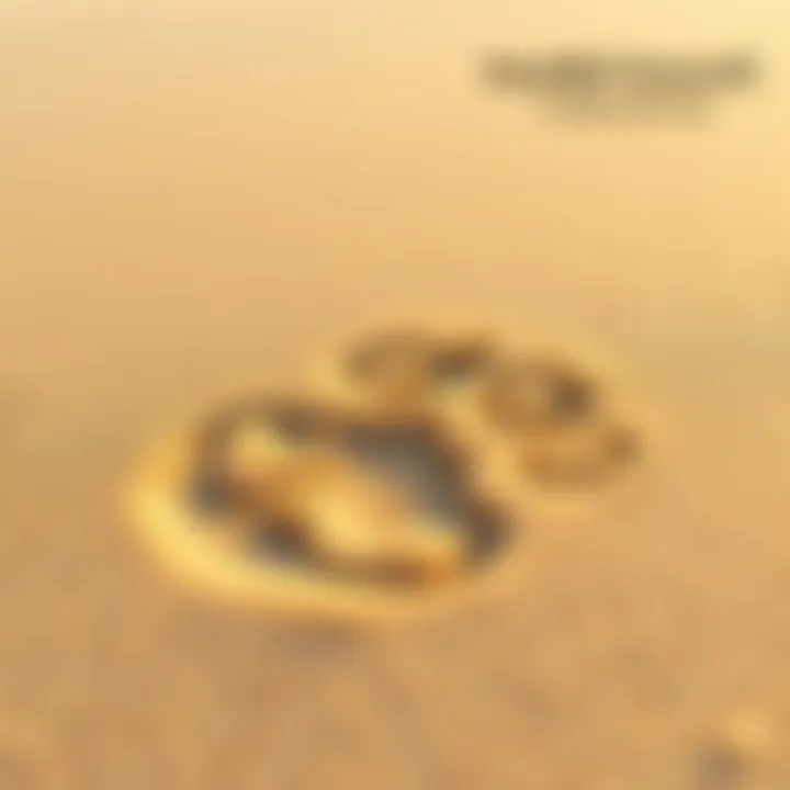 A close-up of a pet's paw print etched in soft sand, symbolizing cherished memories and love, with a rainbow in the background.